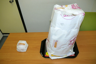 Illustration for article titled A Whopper with 1,000 Slices of Cheese Will Horrify and Disgust You